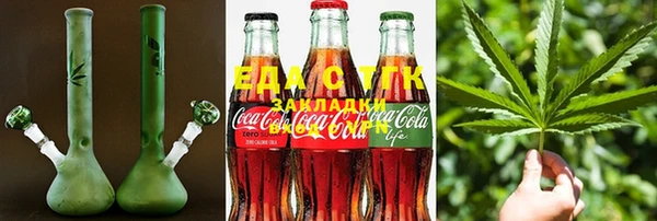 стаф Осинники