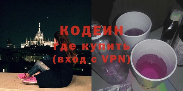 стаф Осинники