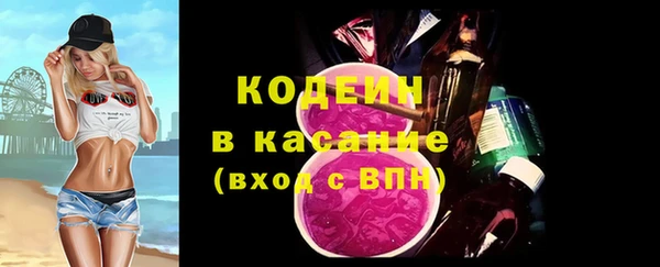 стаф Осинники