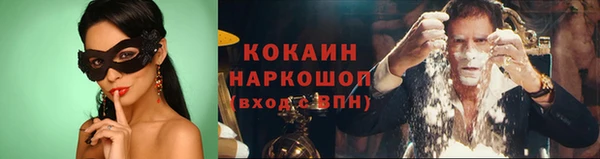 стаф Осинники