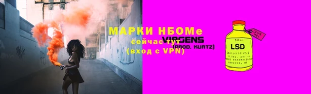 стаф Осинники