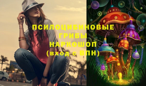 бошки Галич