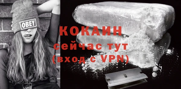 стаф Осинники