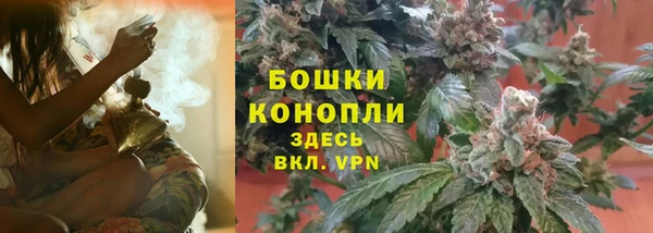 стаф Осинники