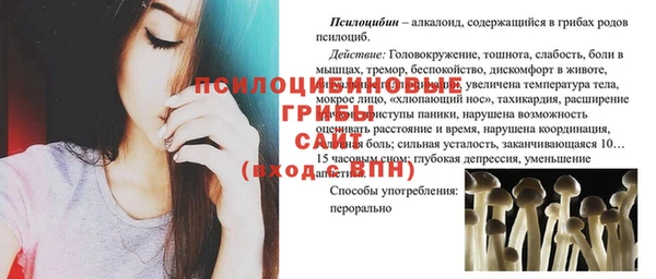 соль ск Осташков