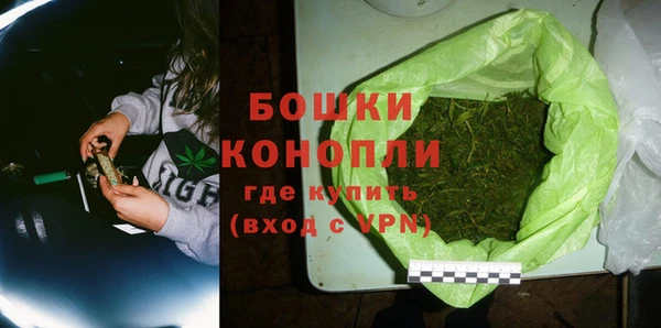 стаф Осинники